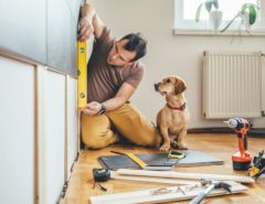 Man renovating home with puppy next to hime