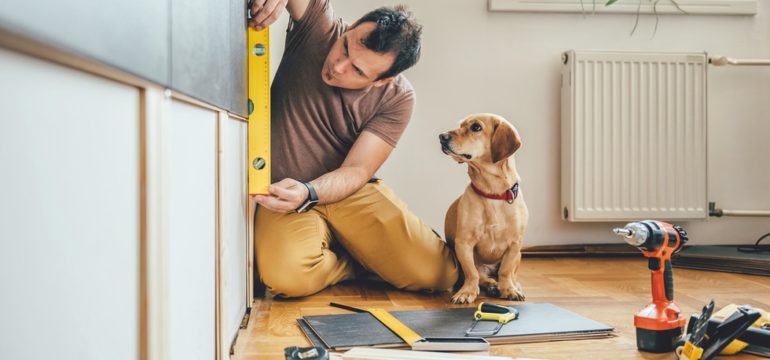Man renovating home with puppy next to hime